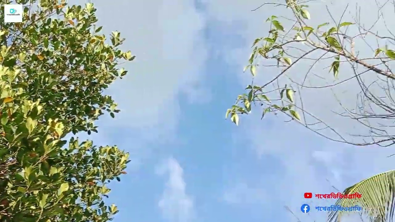 Perfect Blue Sky & Charming Weather Views  Relaxing Nature Video ☀️