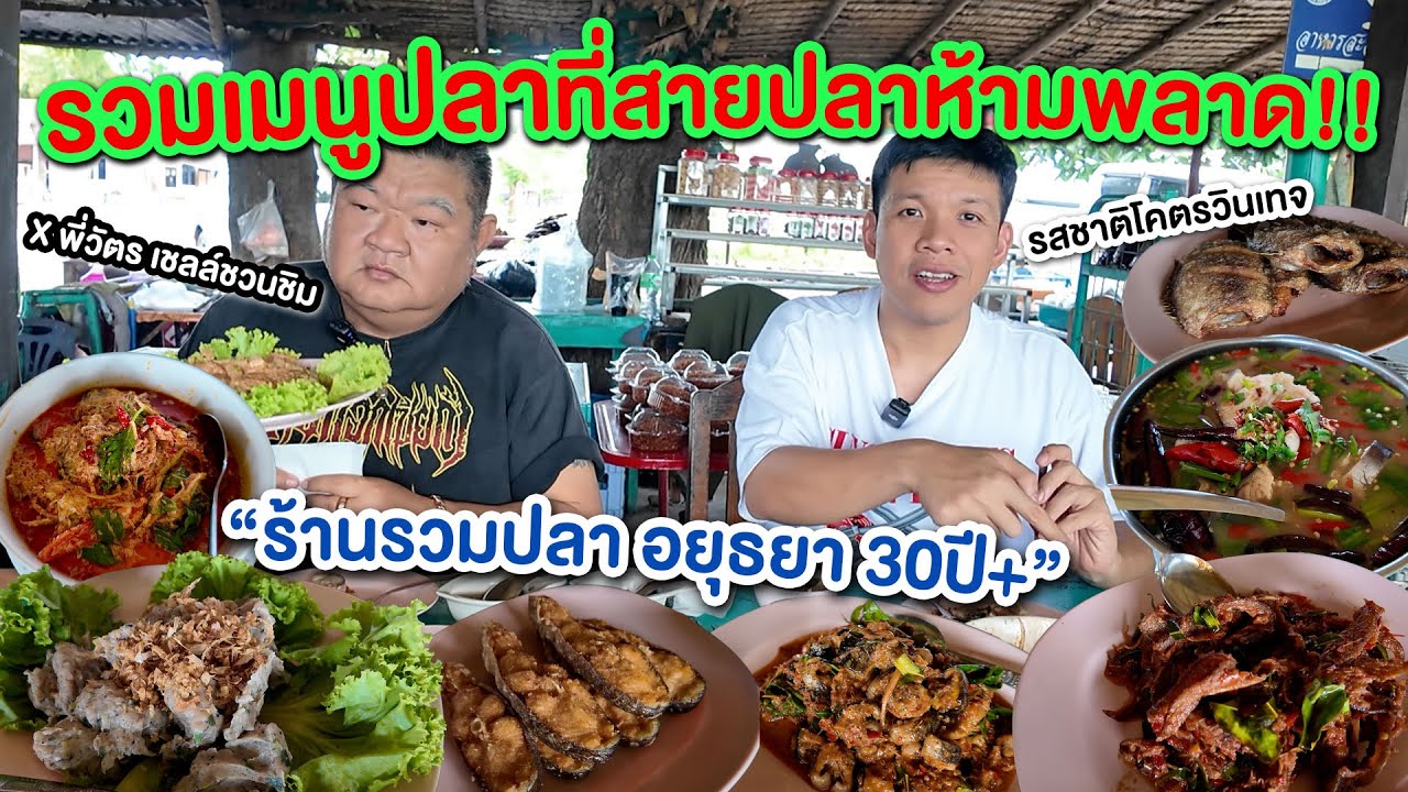 ร้านลับริมน้ำ! คลิปนี้รวมปลาเฉพาะกิจ! ต้มผัดแกงทอดรสชาติสุดวินเทจที่พี่วัตรแนะนำต้องมา!!