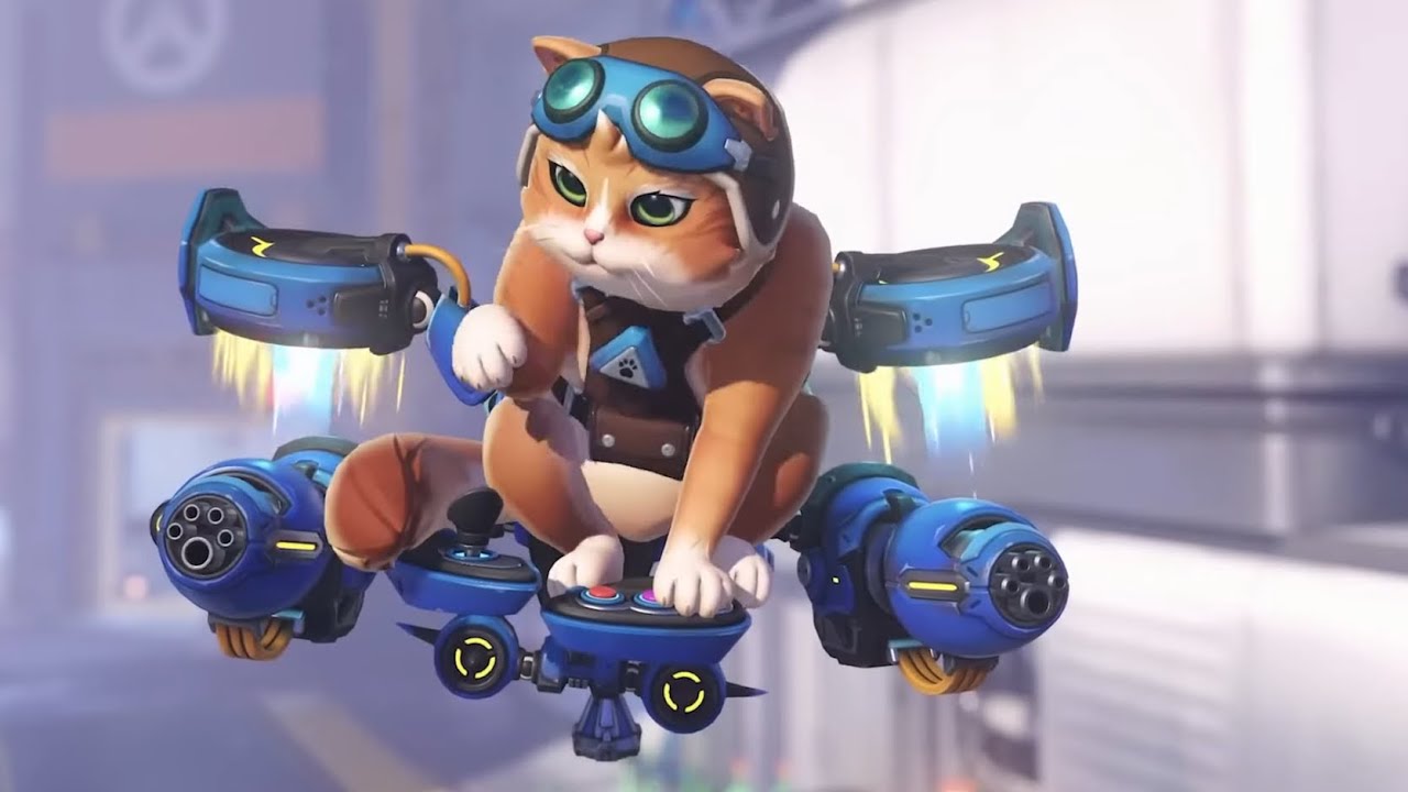 PEGA-MARI DO ROADHOG 3x3 EP 793 EU SOU BEM CHATO DE FIKA 🤣🤣🐈🐈