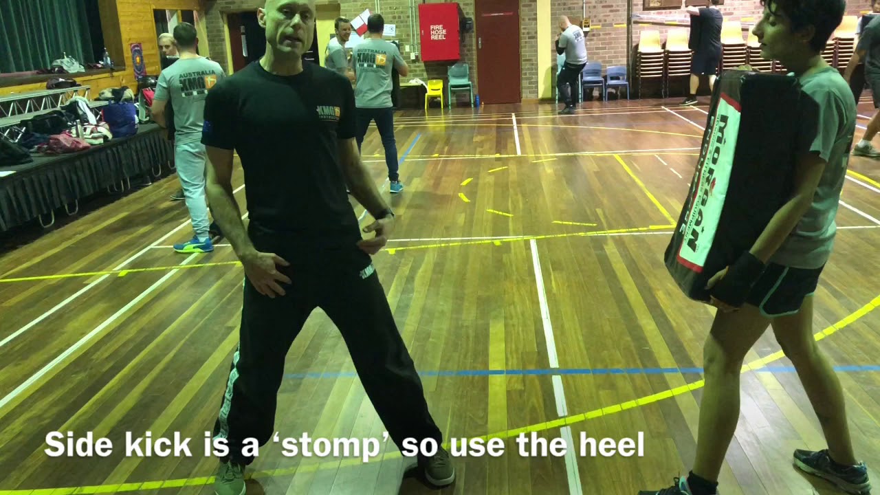 Krav Maga side kick