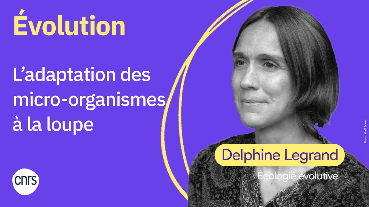 L&rsquo;adaptation des micro-organismes &agrave; la loupe | Delphine Legrand (CNRS)