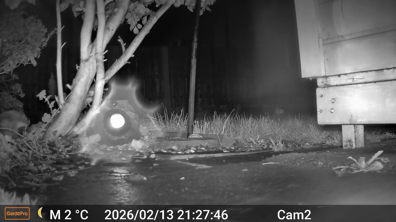 2026 02 13 2118 to 2026 02 14 0638