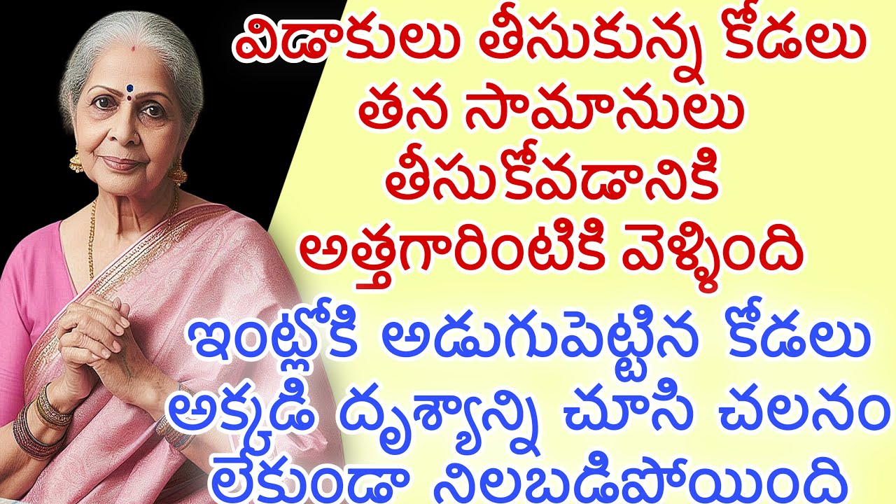 విడాకులు తీసుకున్న కోడలు |విడాకులు తీసుకున్న కోడలు తన సామానులు తీసుకోవడానికి అత్తగారింటికి వెళ్ళింది