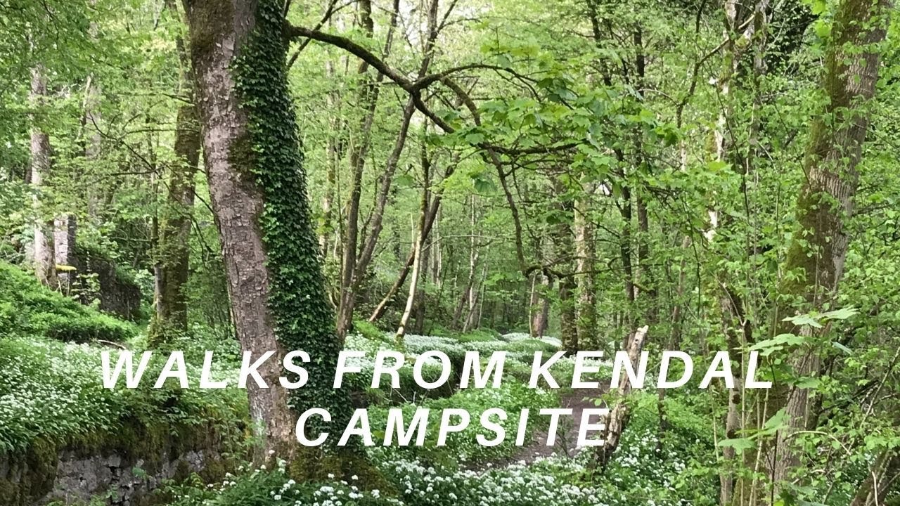 Walks from Kendal C&MC Campsite