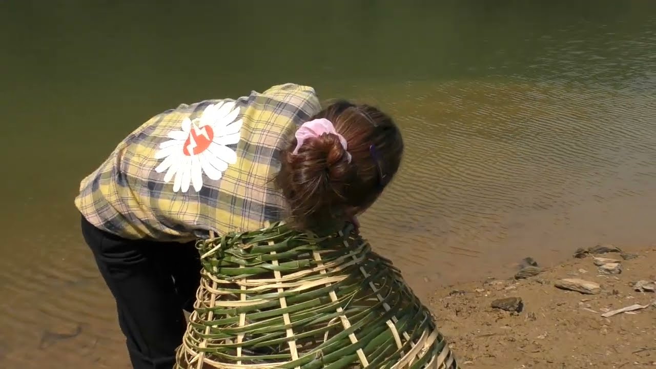Nana fishing | weaving cages, trapping fish in the lake | Survival Skills | Catching wild fish Ep31