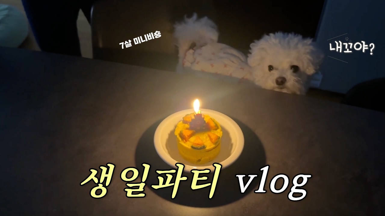 직접 만든 케이크로 강아지생일파티