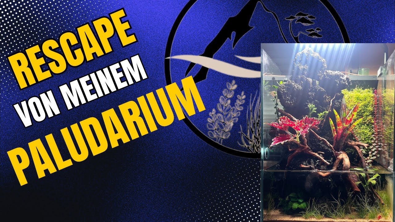 Rescape von meinem PALUDARIUM DOOA terra 30