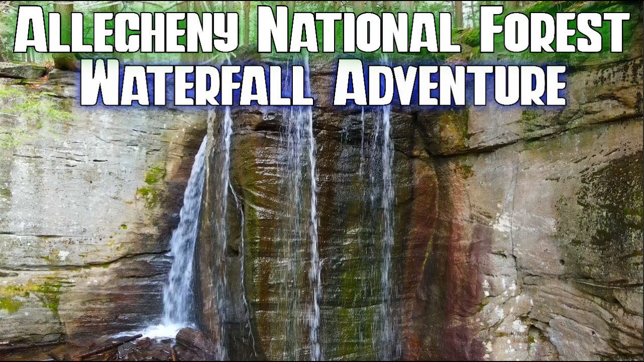 Exploring Hector, Pigeon & Logan Falls - Allegheny National Forest | PA