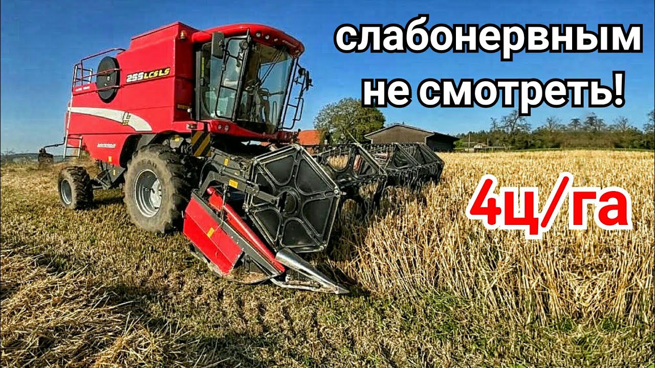 ПРОПАЛ УРОЖАЙ пшеницы 2021. 4 ц/га после ГРАДА! Комбайн ЛАВЕРДА 255. Практика в Швейцарии