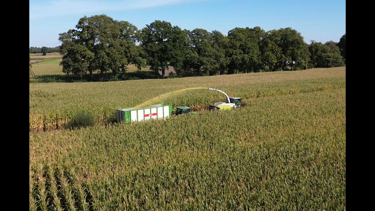 Maïshakselen door loonbedrijf Markvoort!