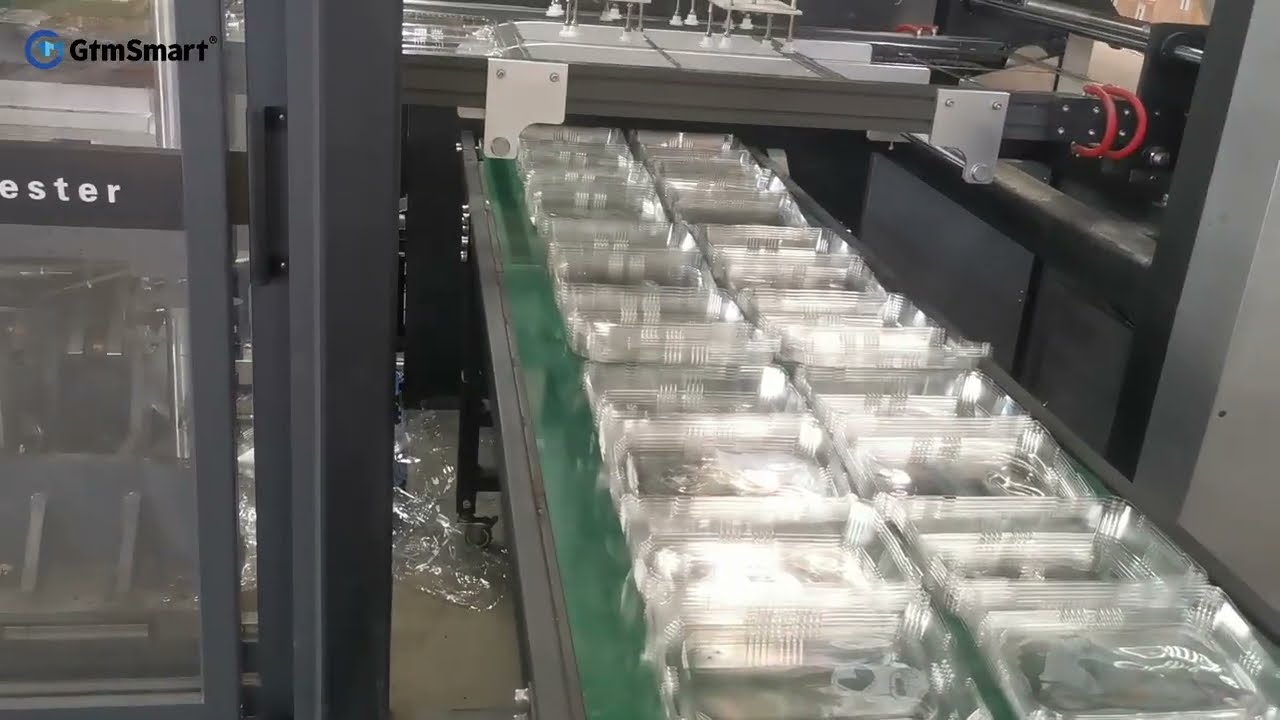 Clamshell Fruit Box Thermoforming Machine Plastic Food Container Making Machine