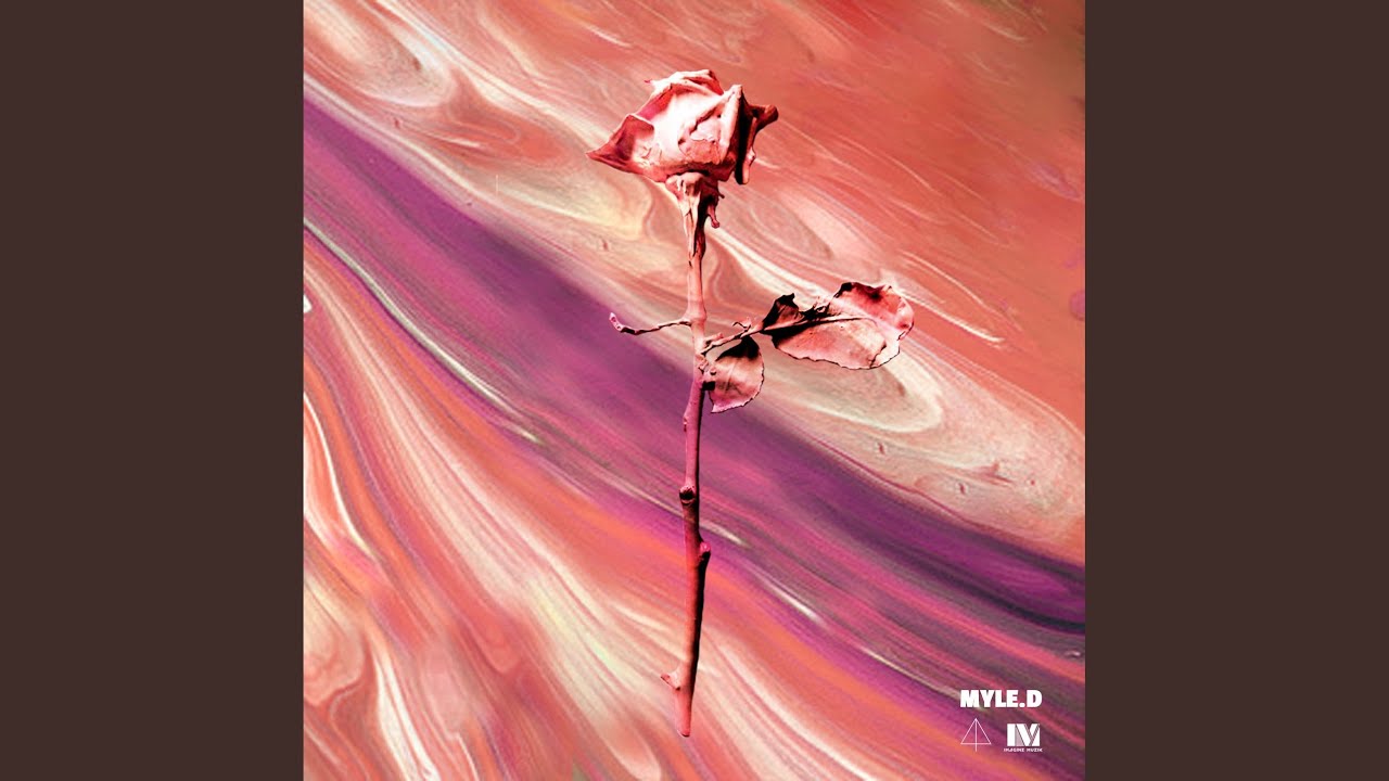 Lovedrops falling on my head (Feat. Swalo, Ryan)