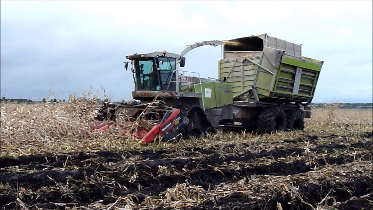 Ensilage de maïs épi (2019) | Corn Silage | SARL Bergeron (42) | Jaguar Field Shuttle