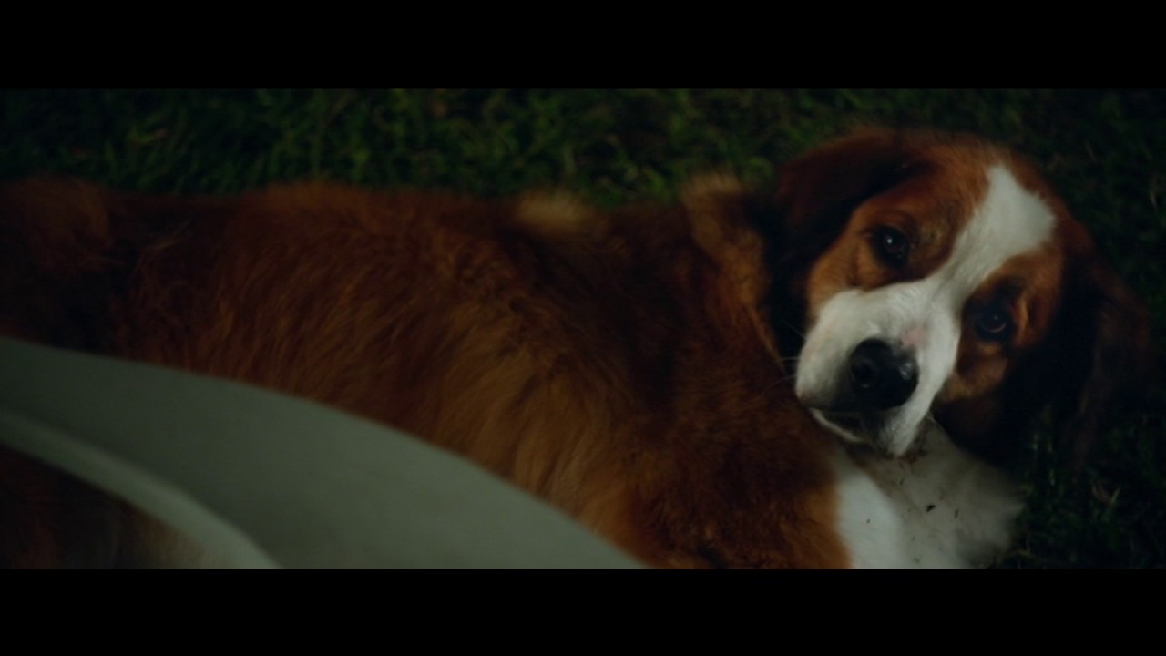 The Choice - first met