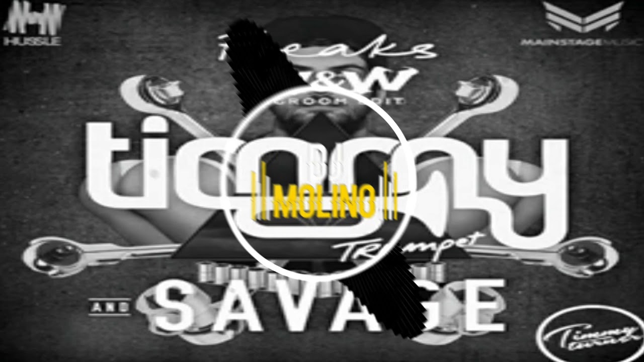 Timmy Trumpet W - W vs Borgore - Ratchet and Freak (Timmy Turner Edit)15K