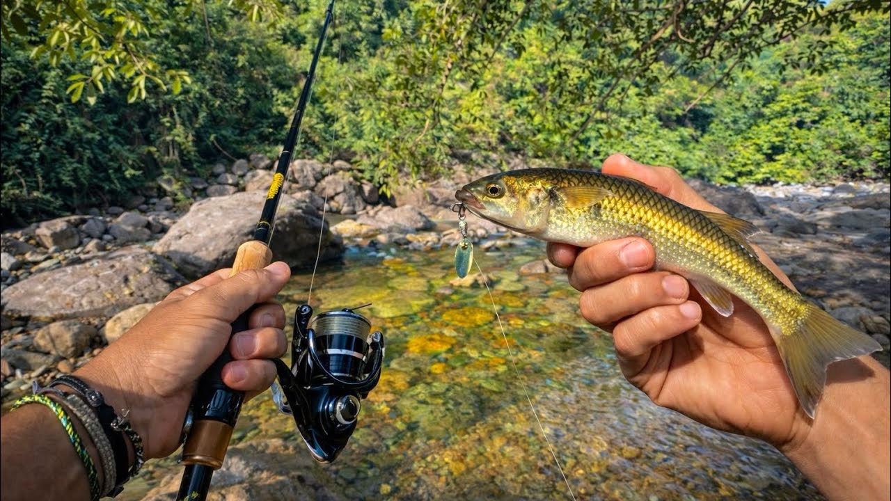 Pescando Río REPLETO de Truchas en la Jungla de Puerto Vallarta, MX! 