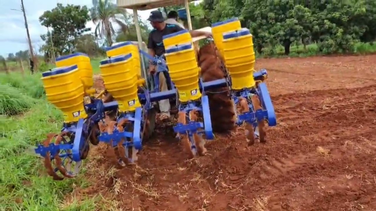 Plantando milho na plantadeira tatu 
