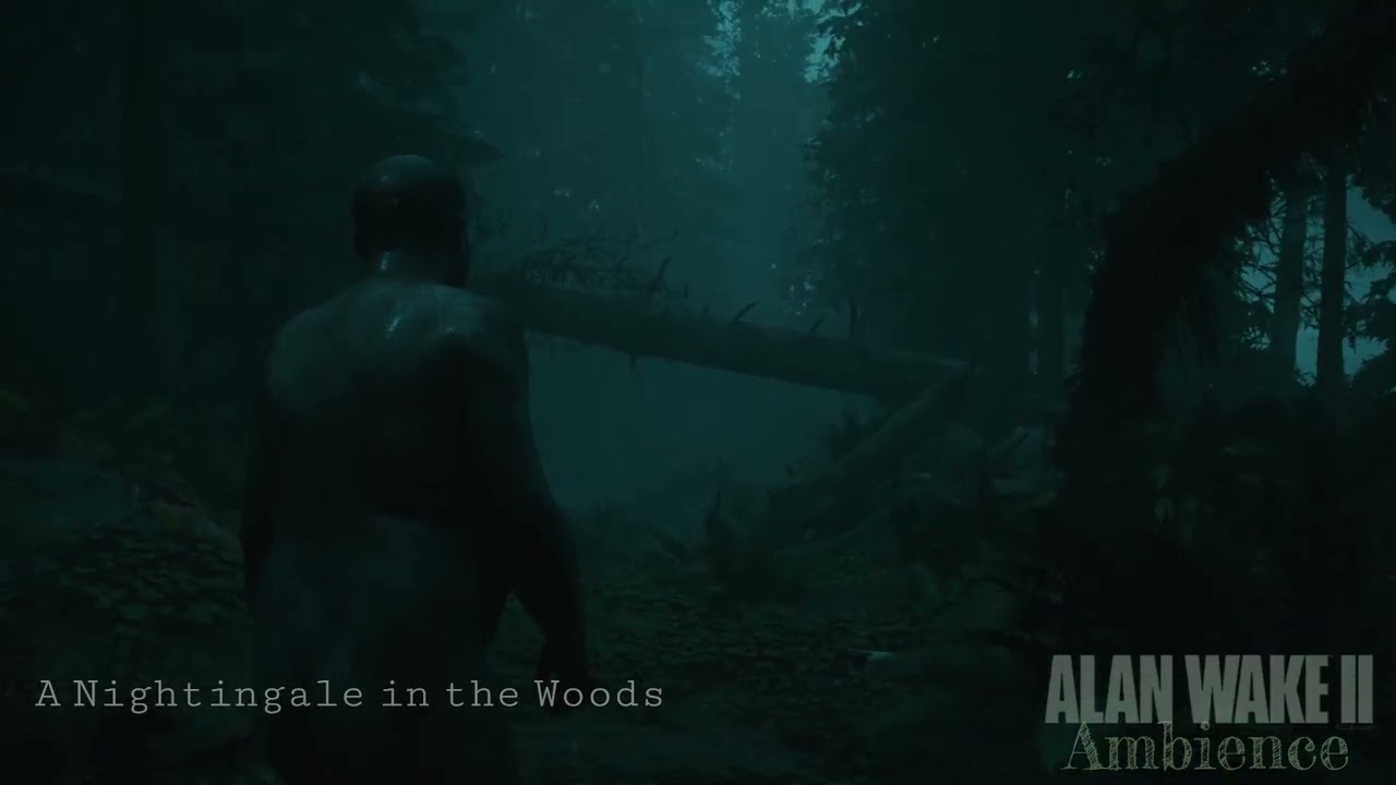 Alan Wake 2 Ambience | A Nightingale in the Woods
