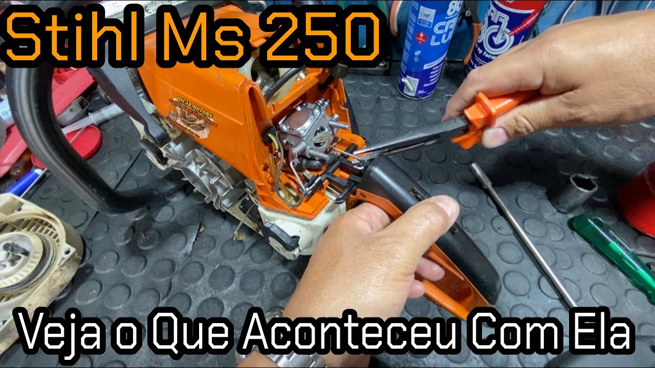 Vejam Qual Era o Problema Da STIHL MS 250
