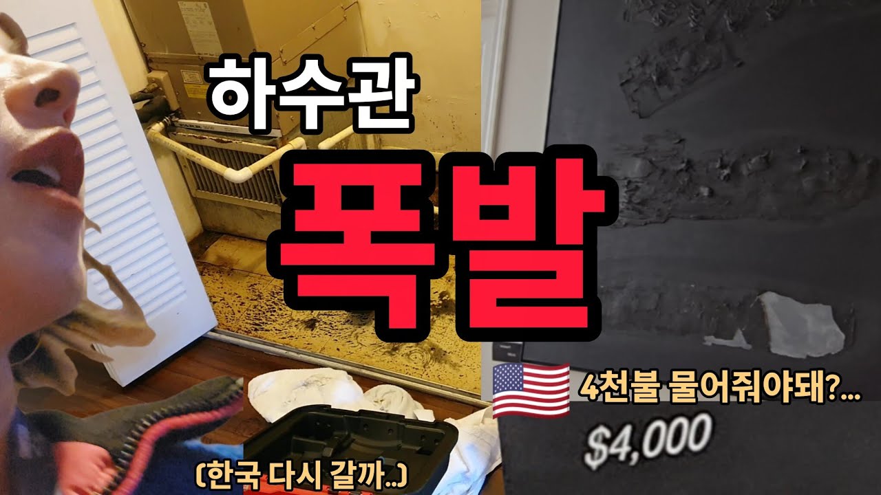 🇺🇲미국일상vlog| 숙소 하수관이 폭발했습니다&아들이 카페에서 4천달러 미술작품 훼손🥶 #미국이사 #미국브이로그vlog #미국여행