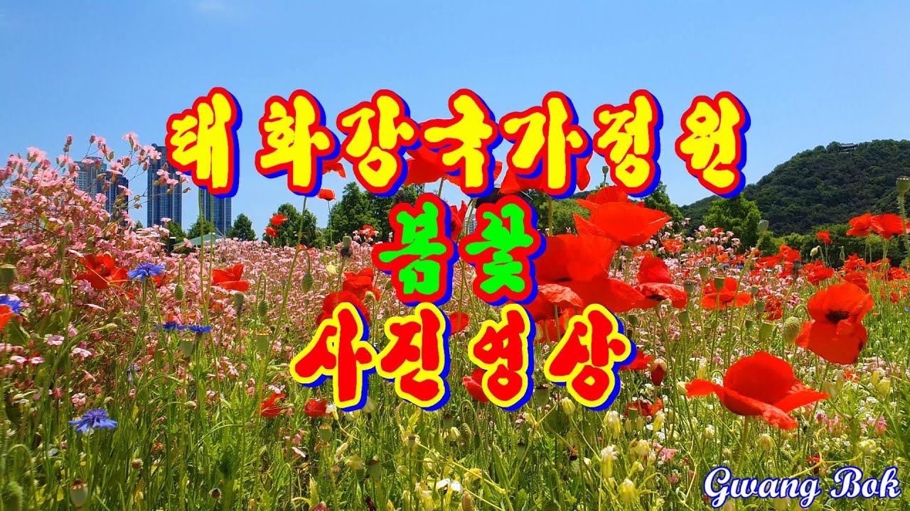 태화강 국가정원 봄꽃 사진 영상