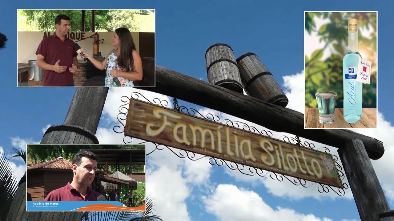 Vin&iacute;cola FAM&Iacute;LIA SILOTTO