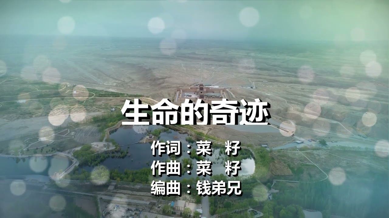 439生命的奇迹