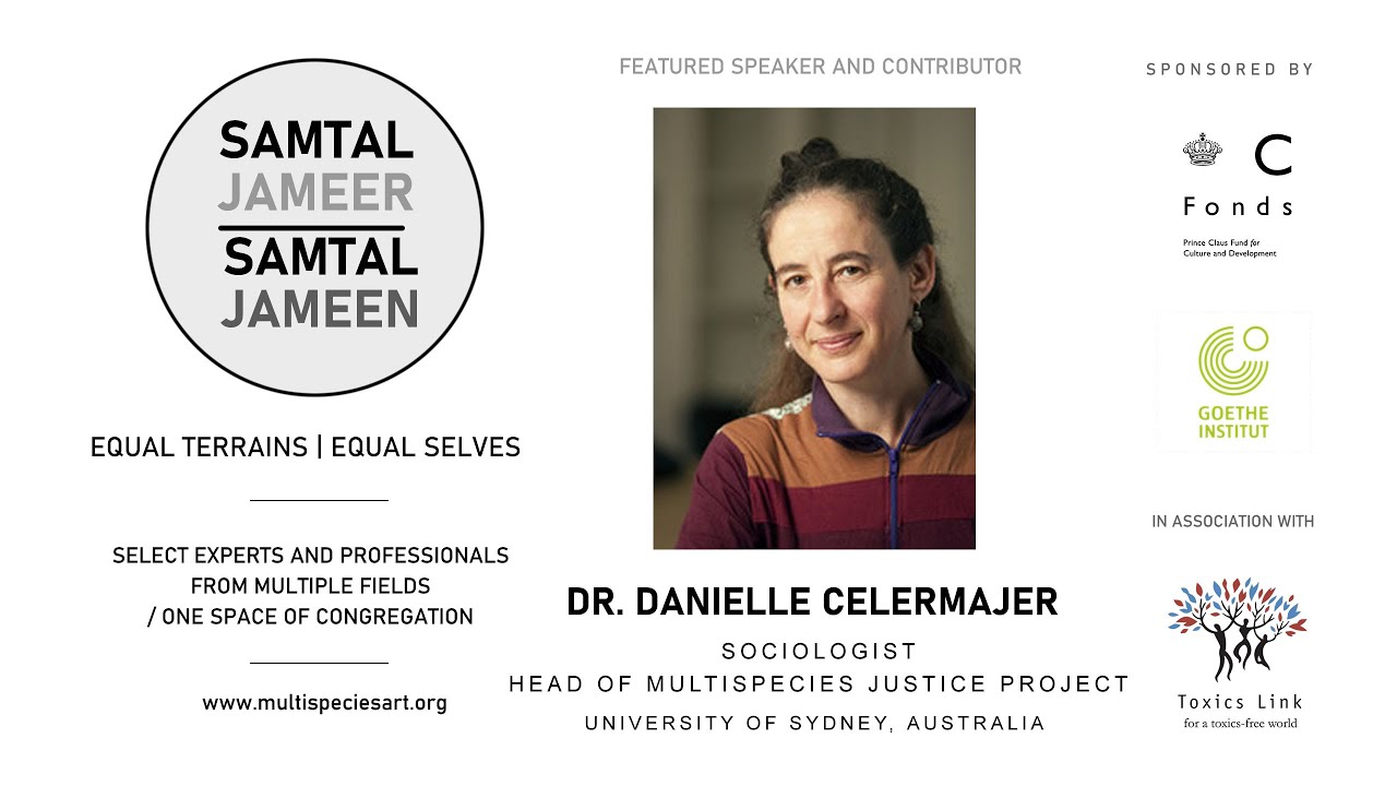 Conversation with Dr. Danielle Celermajer &mdash; Samtal Jameer | Samtal Jameen