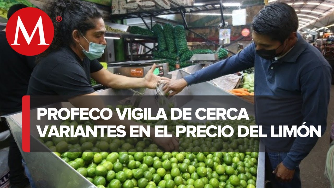 Precio del lim&oacute;n sigue dando &ldquo;lata&rdquo;: Profeco