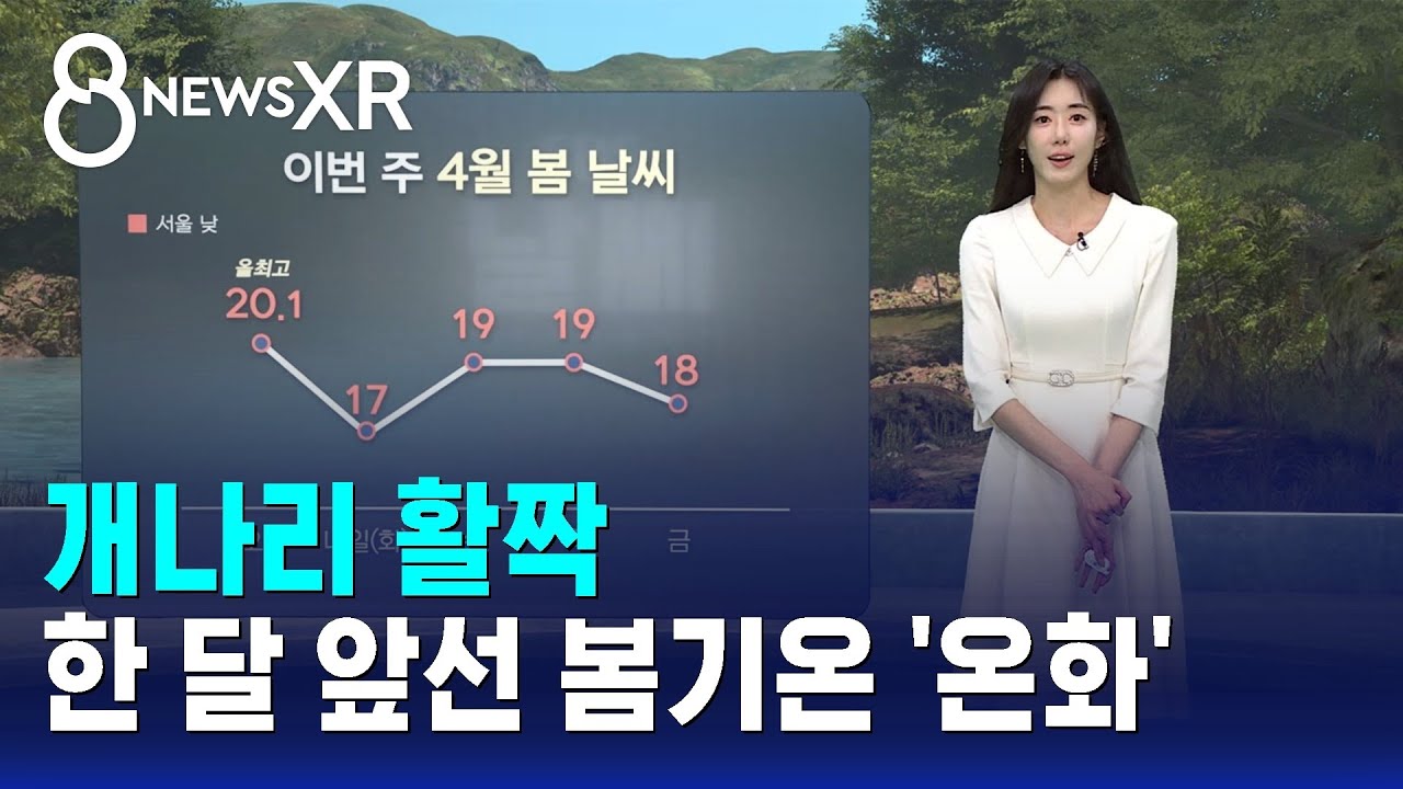 [날씨/XR] 개나리 활짝&hellip;한 달 앞선 봄기온 '온화' / SBS 8뉴스