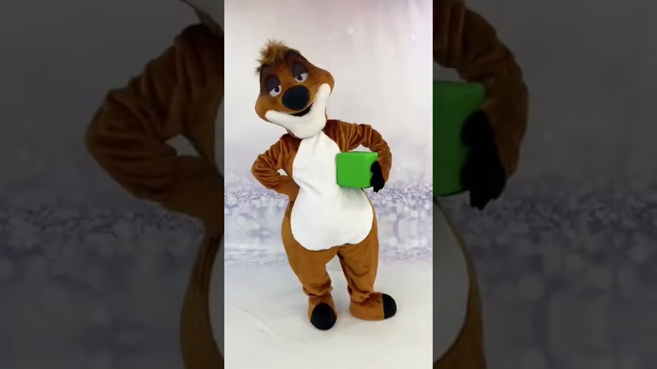Hakuna Matata! All the characters of your favorite cartoon have come together! #mascotcostume