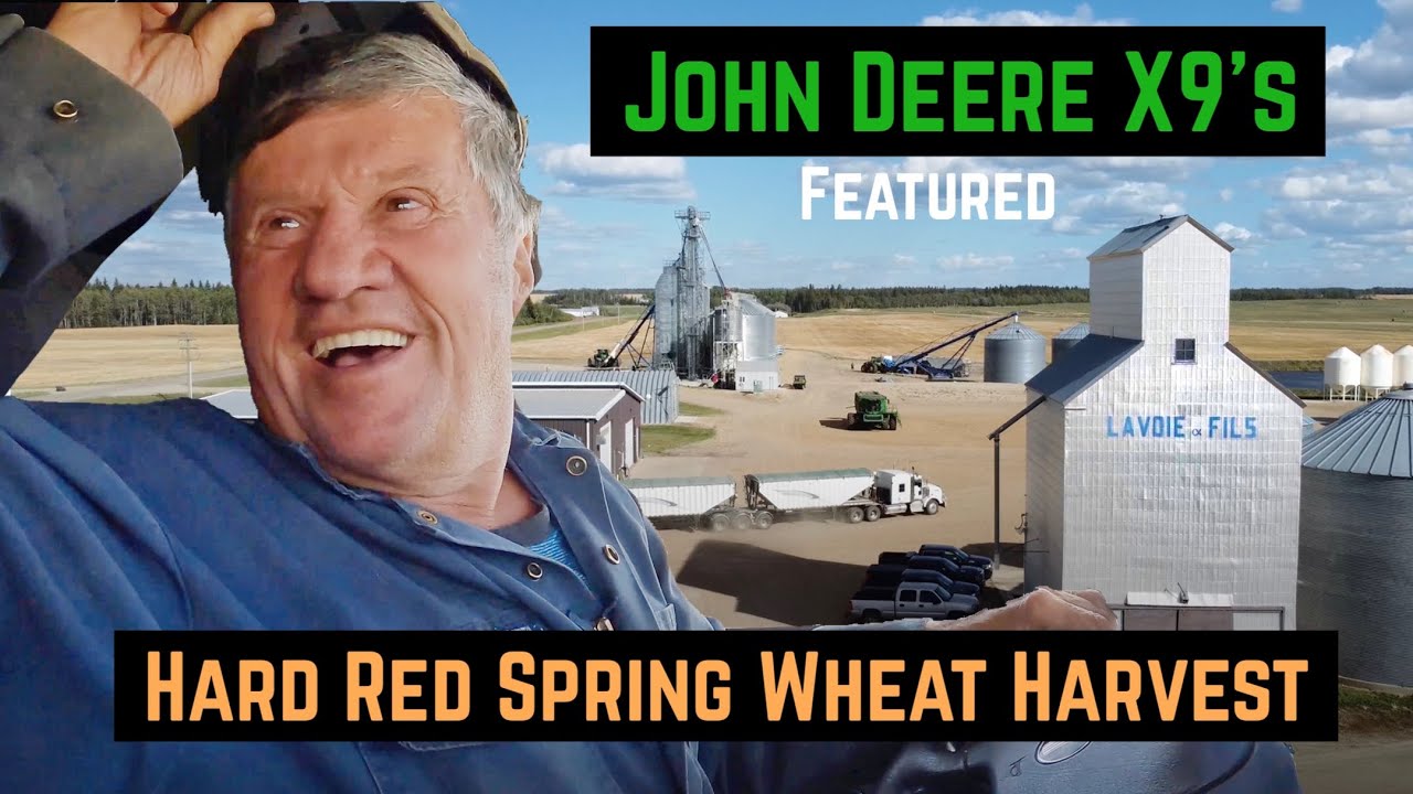 John Deere X9 Wheat Harvest (78 bushels per acre) Combining, Carting and Trucking at Lavoie Ventures