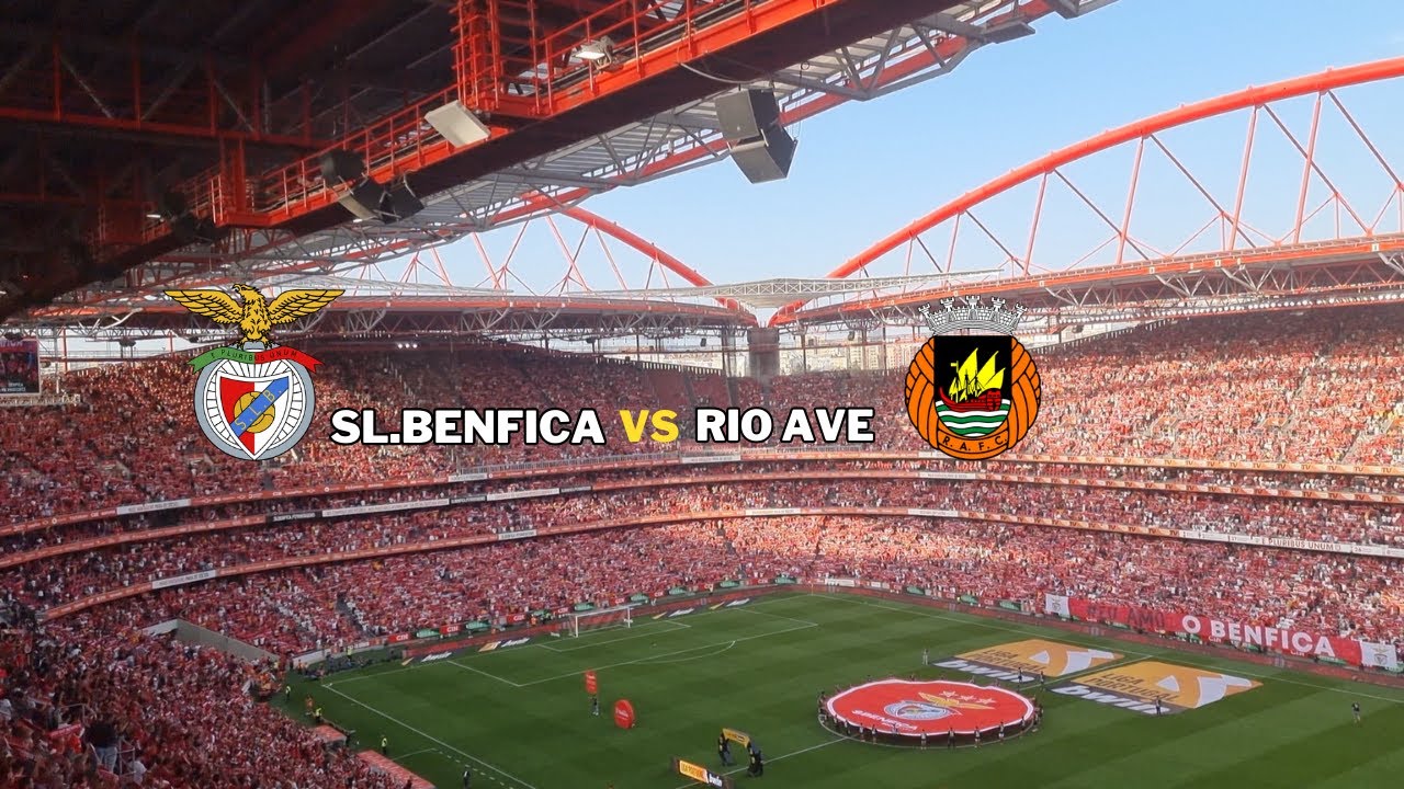 SLB: FUI VER O JOGO DO BENFICA NO ESTÁDIO DA LUZ PELA PRIMEIRA VEZ