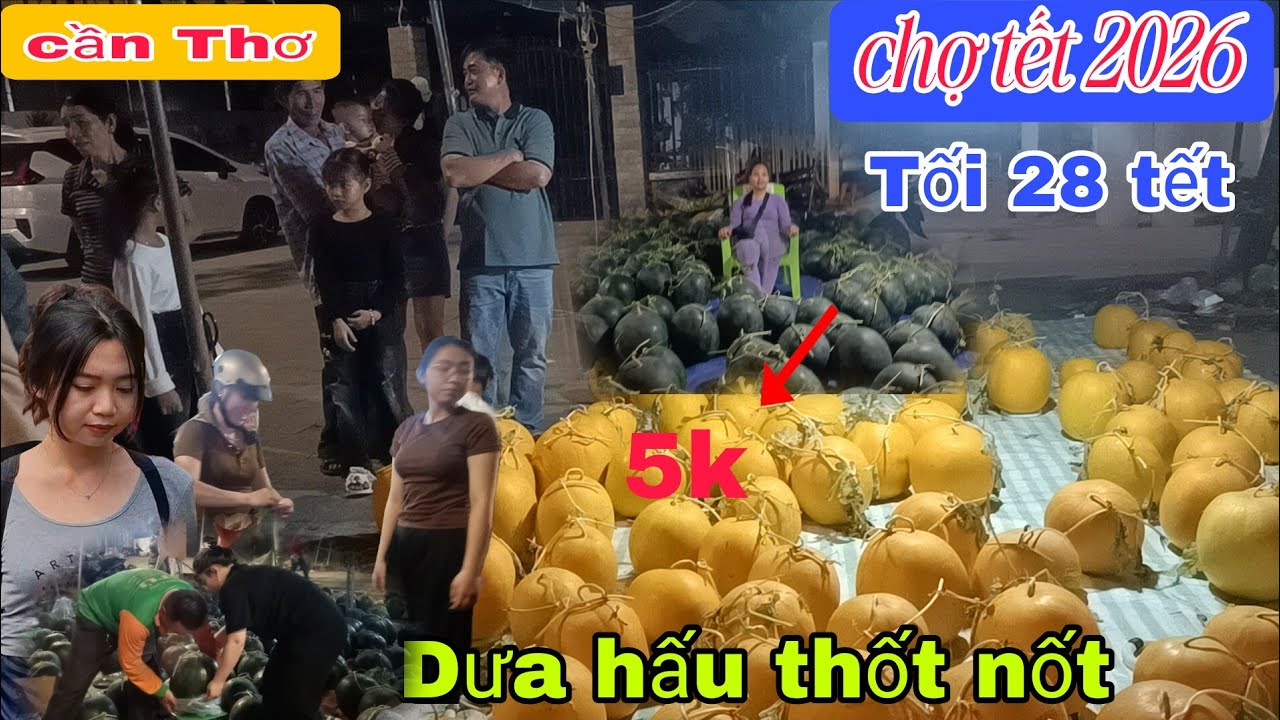 Chợ dưa hấu thốt nốt cần Thơ tối 28 tết bán xả hàng 5k một ký 