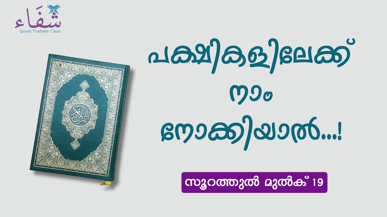 പക്ഷികളിലേക്ക് നാം നോക്കിയാൽ...! സൂറത്തുൽ മുൽക്ക് 19