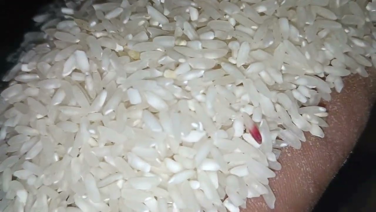 5-in-2 muitifunctional commercial Rice mill l Rice milling I 🌾🌾👷🛠️