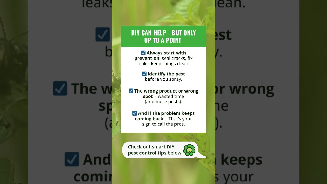 Dealing with pests at home? 🐭