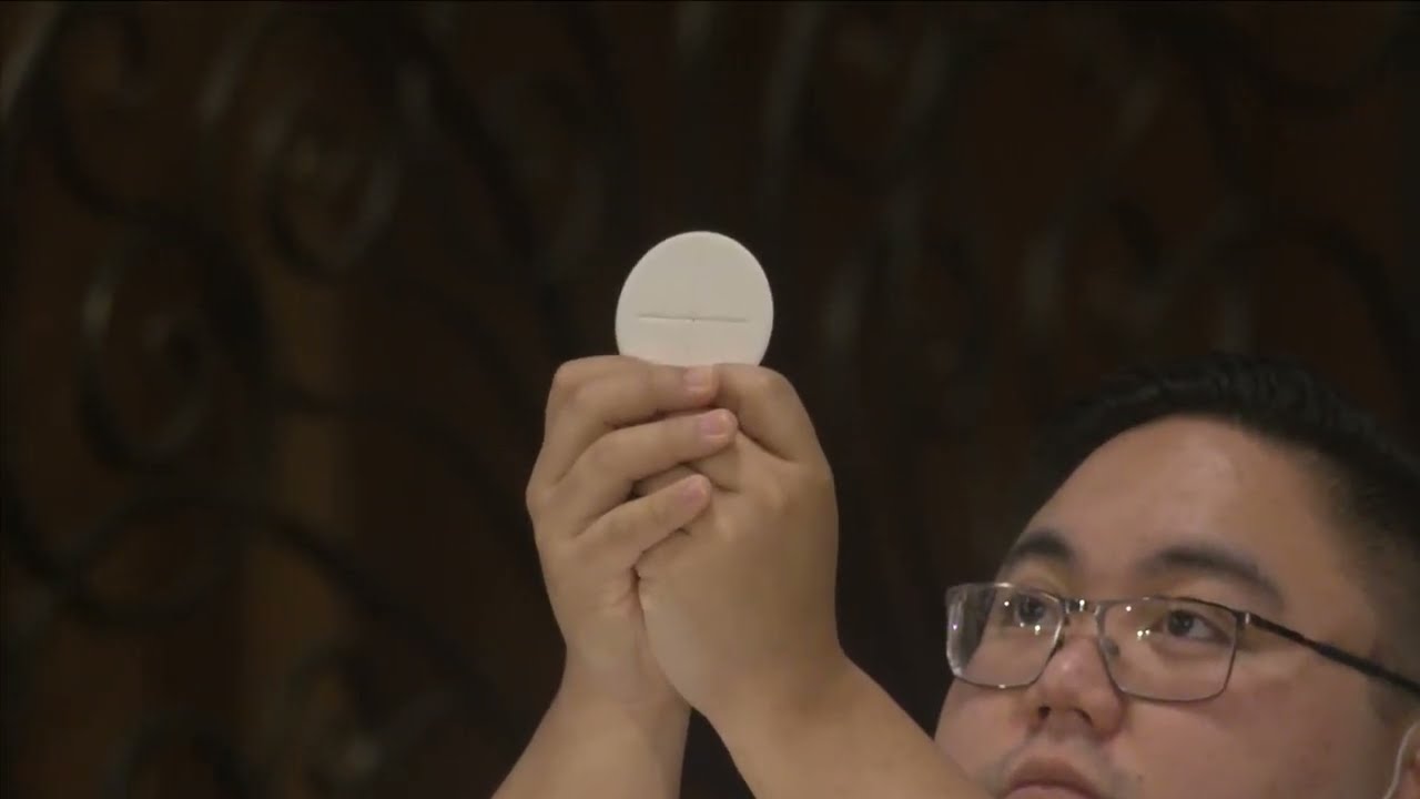 Wednesday Mass - February 11, 2026