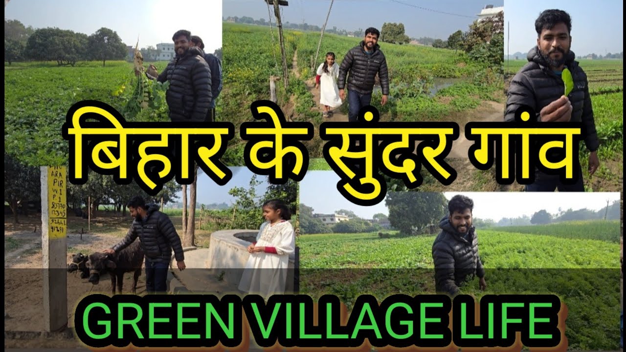 Bihar Village Vlog || बिहार के गाँव की यात्रा || Bihar Village Common Life || Green Village Life