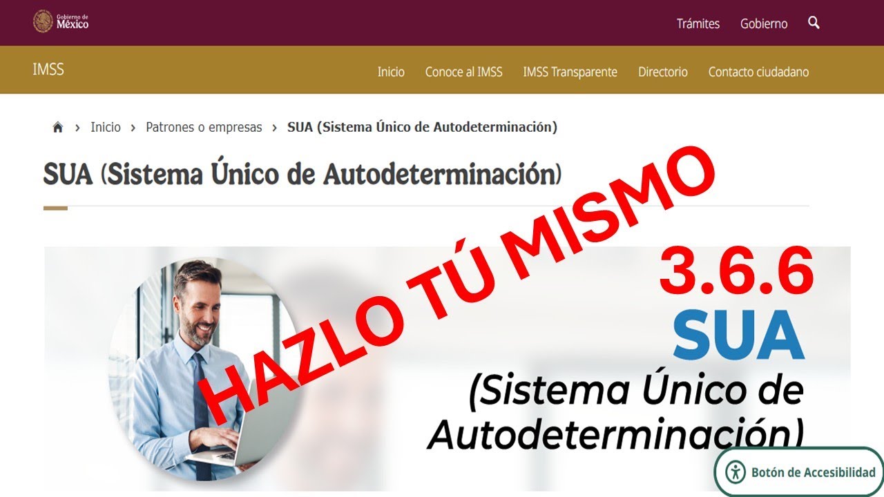 Cómo Actualizar la Version 3.6.6. del SUA 2025