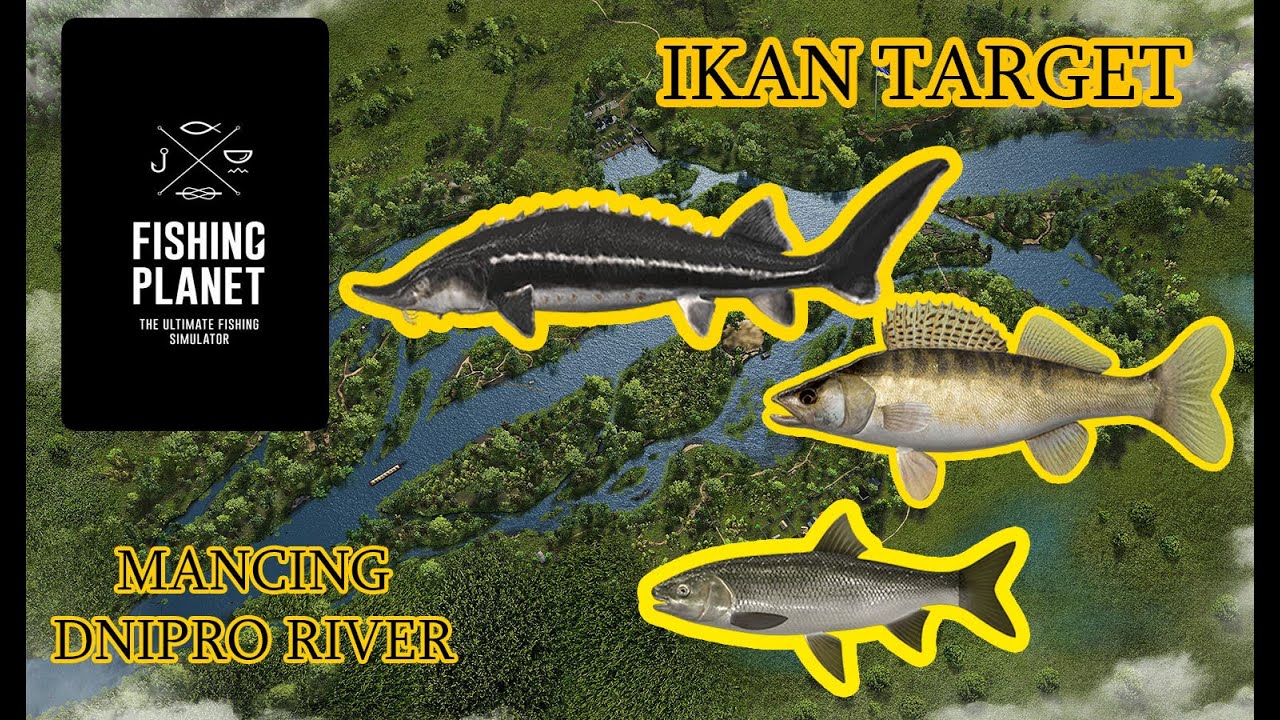 MEMANCING MANIA - DNIPRO RIVER  ( FISHING PLANET GAMEPLAY  ) #6