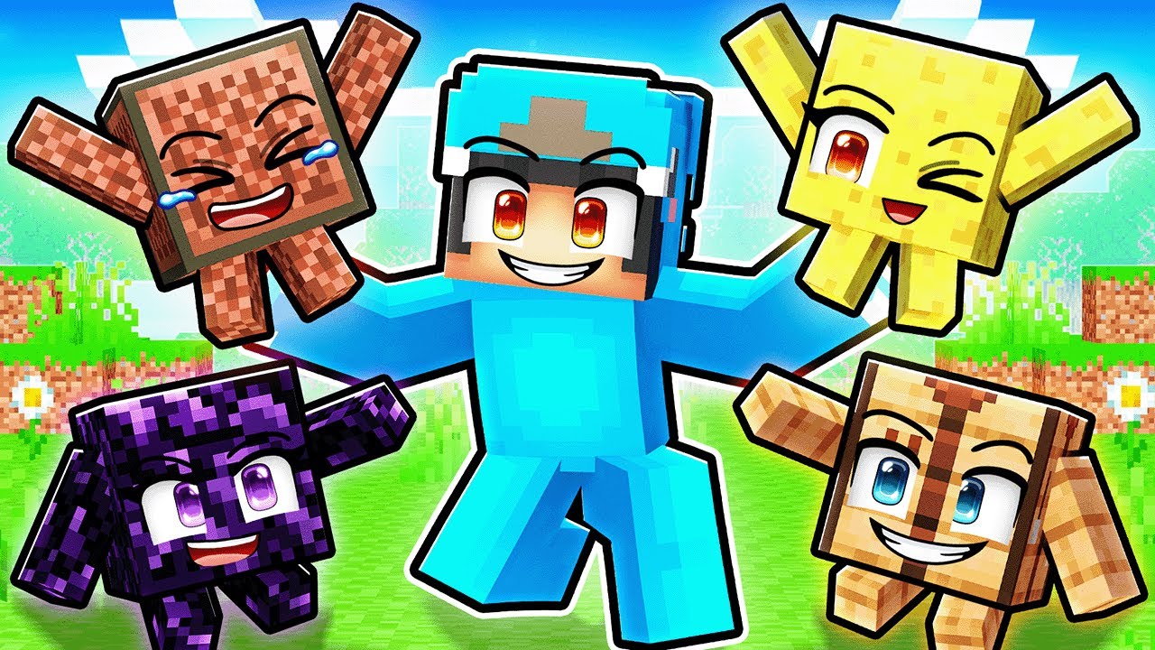 Blocks Are PETS In Minecraft!