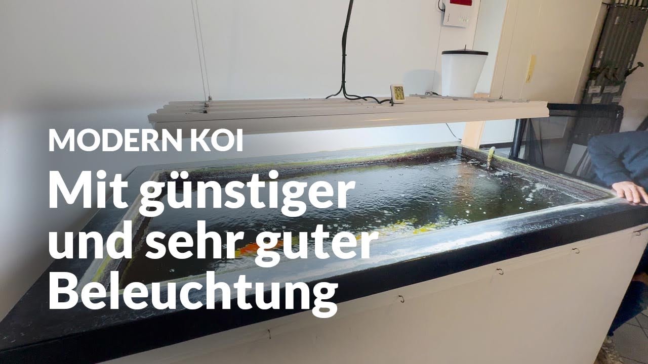 Christians schicke 2.000 Liter Innenhäterung | Modern Koi Blog #6733
