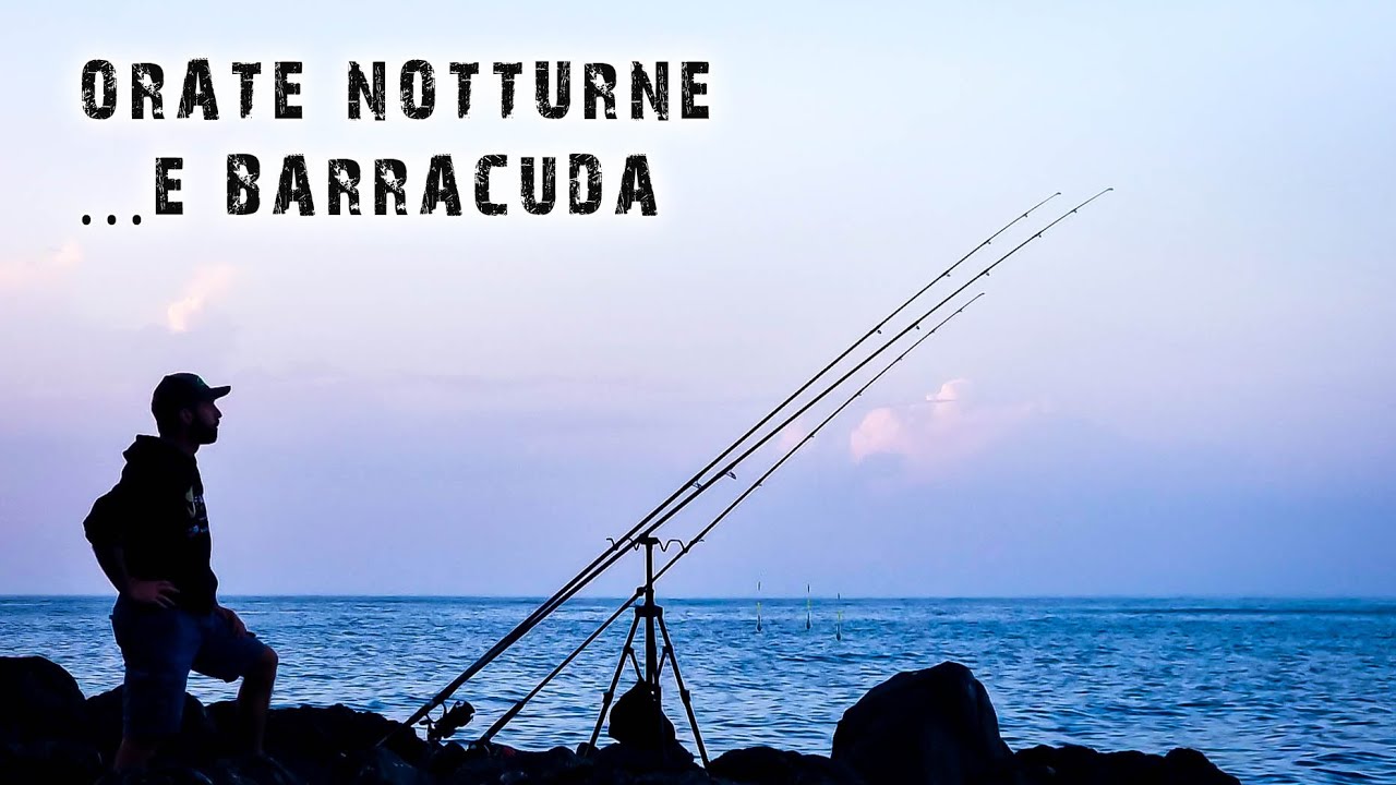 12 ORE di pesca non-stop in SOLITARIA, tra PESCA A FONDO e SPINNING