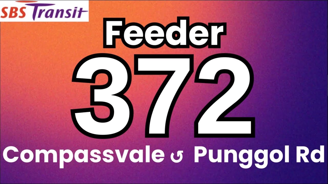 SBS Transit Feeder Bus Service 372 | Hyperlapse & Route Visual