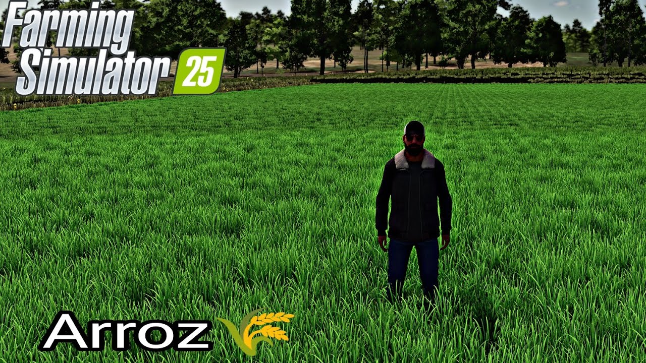 FS 25 