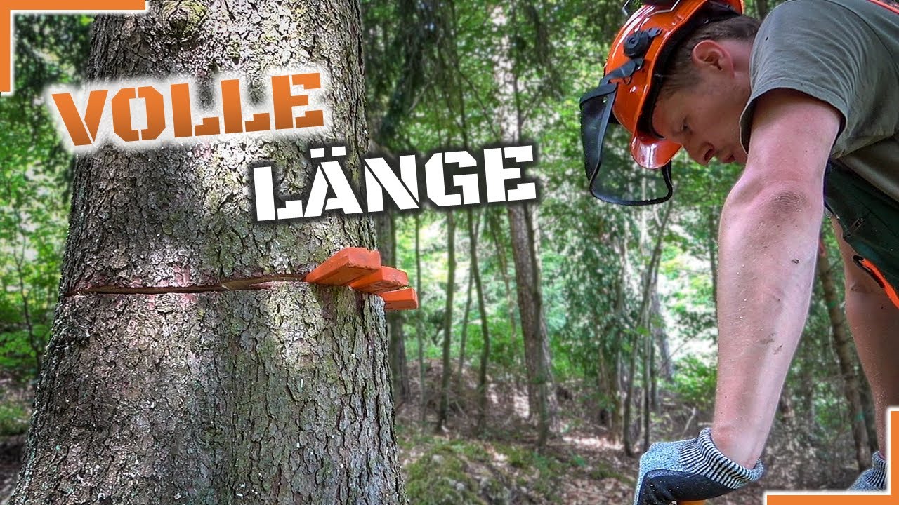 Keilen, schwitzen, weiter keilen - RÜCKHÄNGER fällen uncut - 60cm Fichte