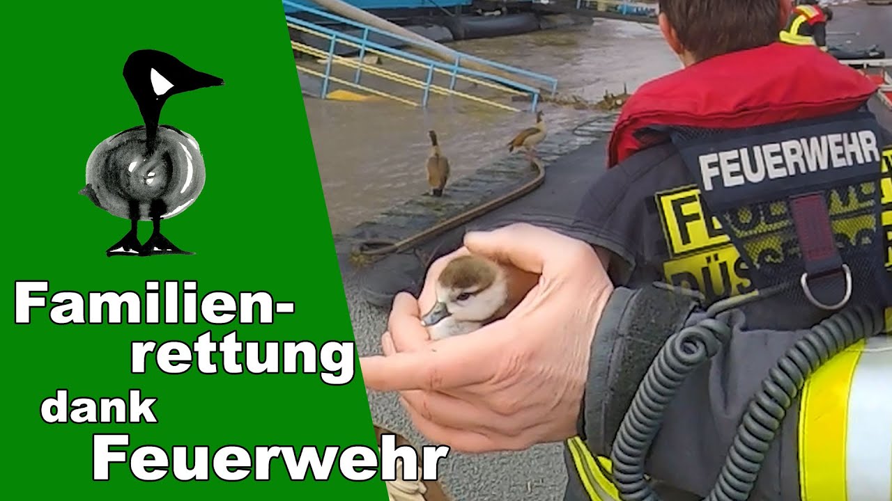 Gemeinsam mit der Feuerwehr Düsseldorf - Tiernotruf #296