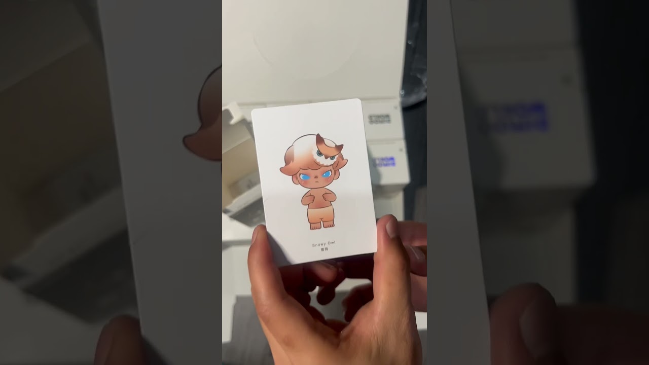 DIMOO RETRO SERIES UNBOXING (SNOWY OWL)