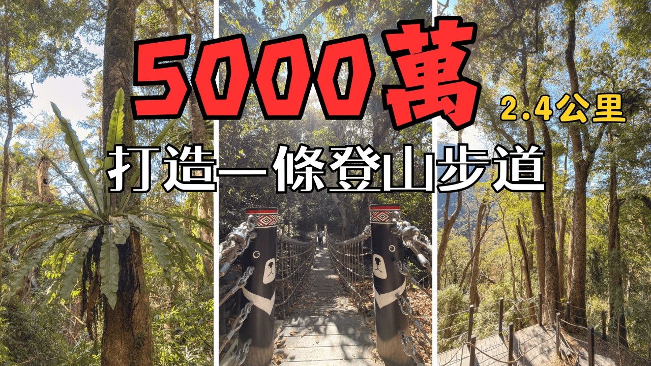 👉 斥資 5,000 萬打造！雪山坑環線步道 2.4 公里全程實走